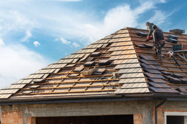 Best Roof Insulation Installation  in King Cove, AK
